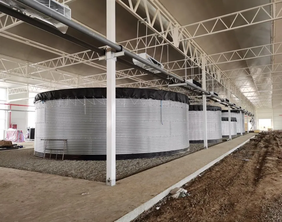 Indoor Greenhouse Irrigation Water Tank